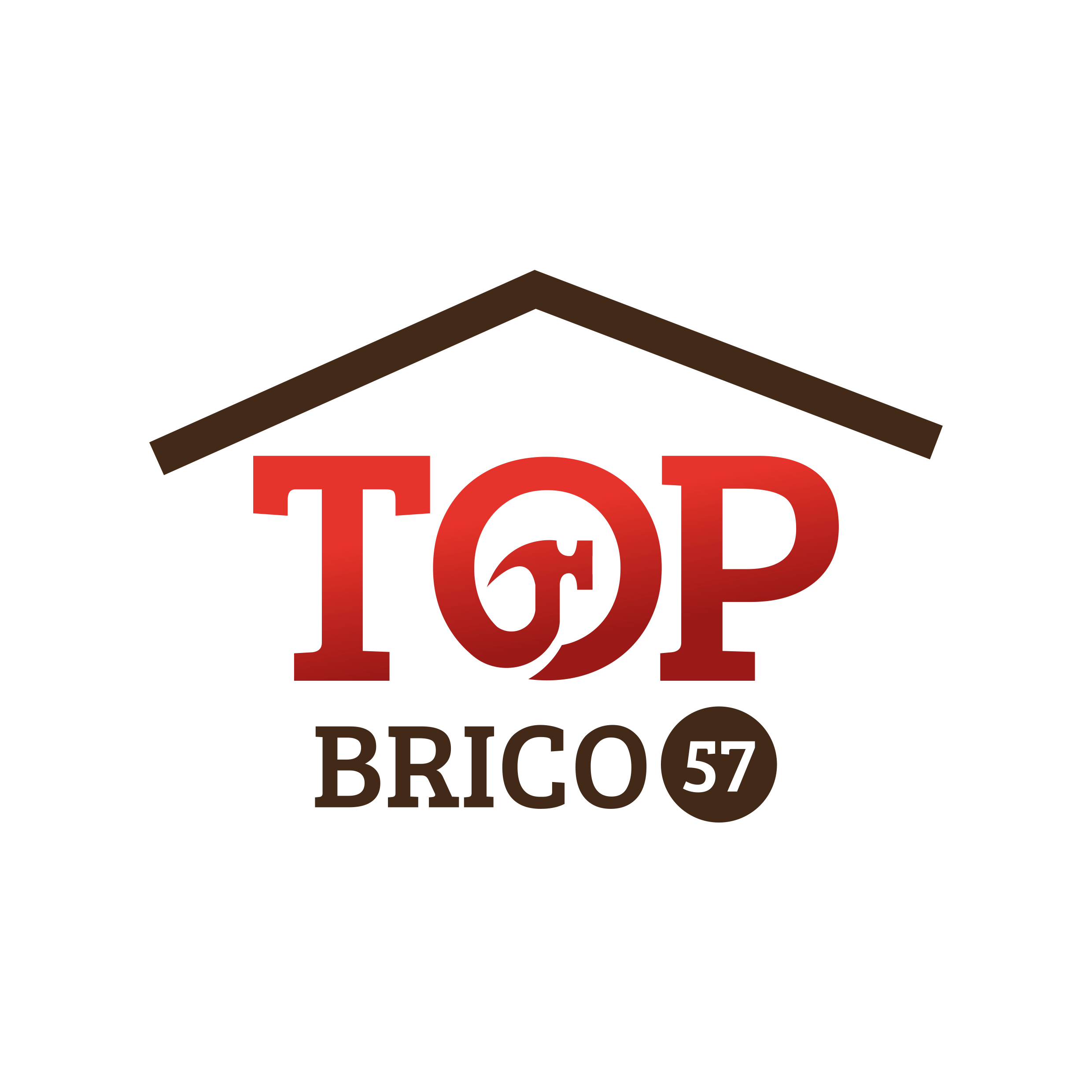TOP BRICO 57